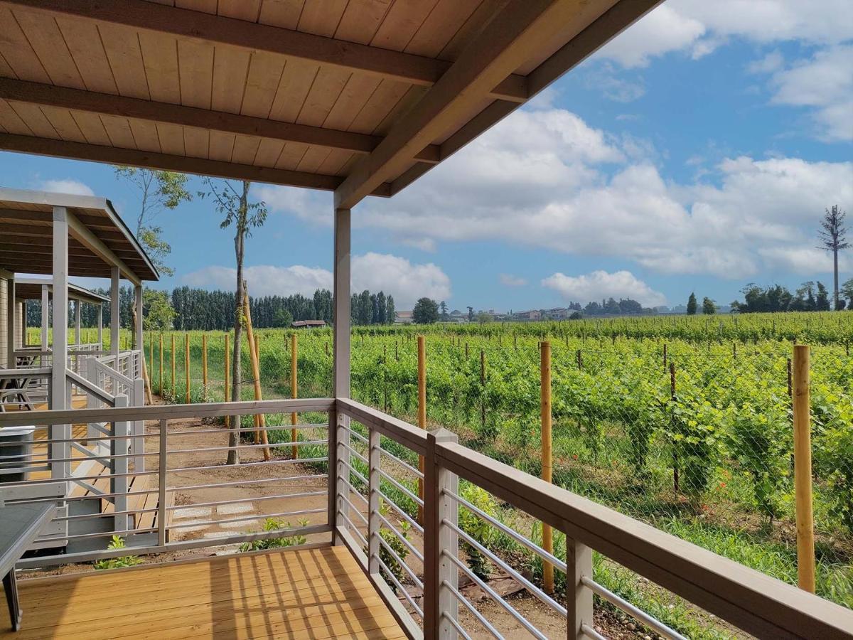 Garda Di Vino Agricamping & Wine Shop Lazise Ronchi  Экстерьер фото